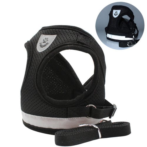 Stylish Cat Harness and Leash