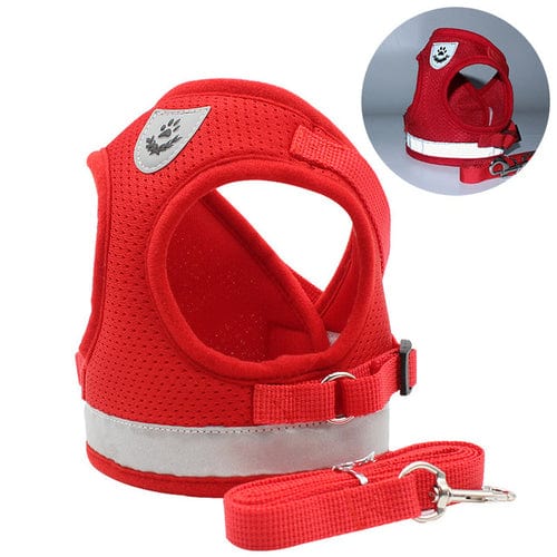 Stylish Cat Harness and Leash