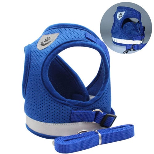 Stylish Cat Harness and Leash