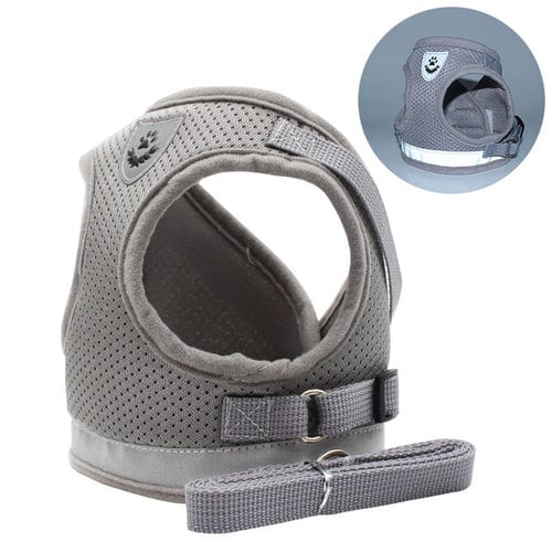 Stylish Cat Harness and Leash