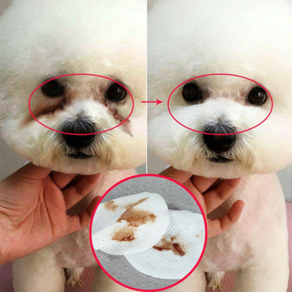 Gentle Touch Wipes