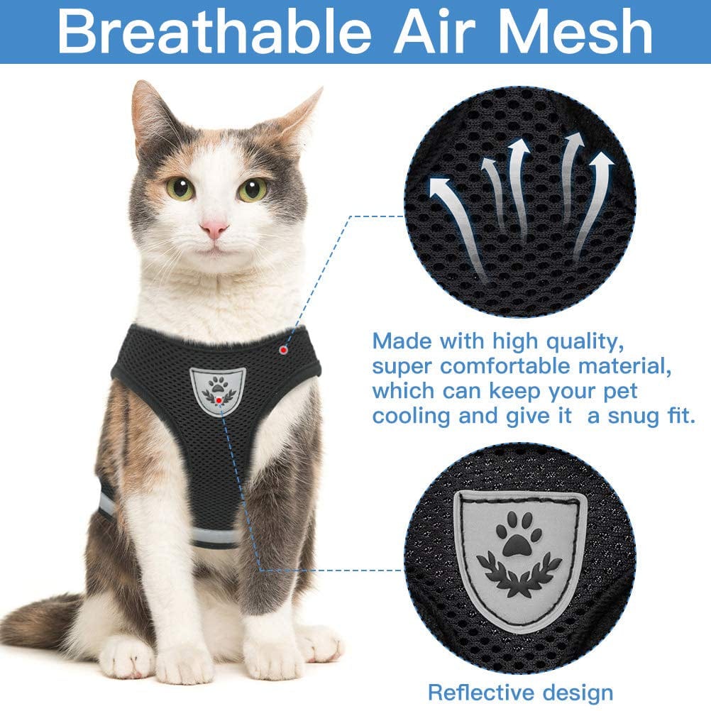 Stylish Cat Harness and Leash