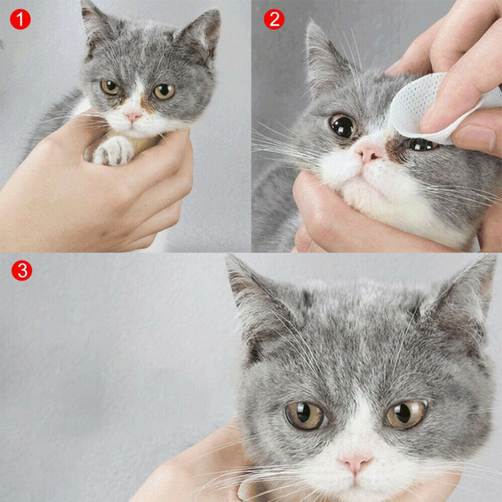 Gentle Touch Wipes