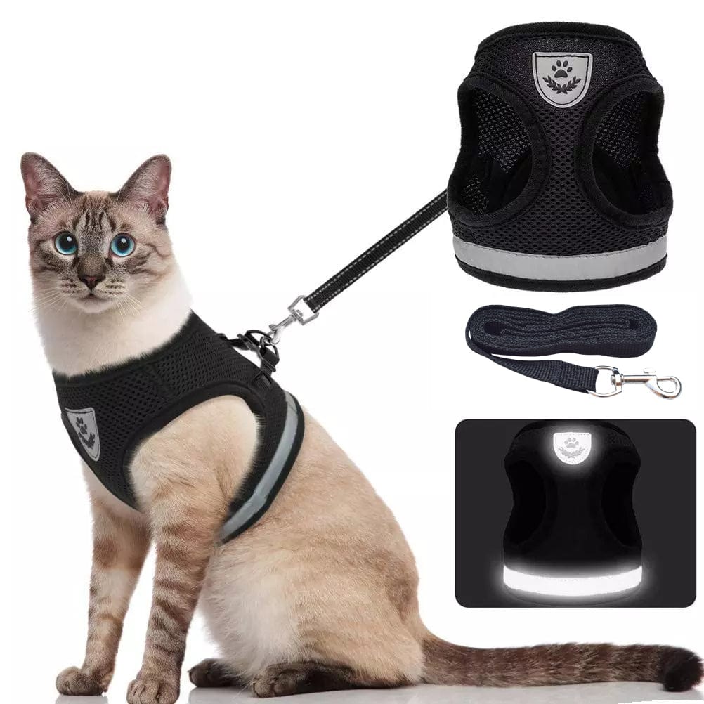 Stylish Cat Harness and Leash
