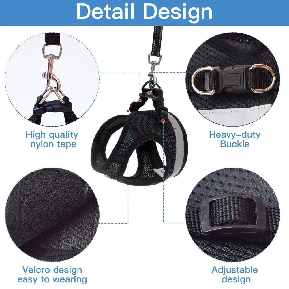Stylish Cat Harness and Leash