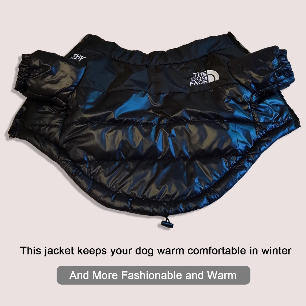 Stylish Dog Winter Warmer